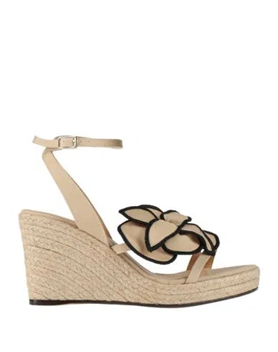 Castaã±er Castañer Woman Sandals Sand Size 7.5 Textile Fibers In Multi