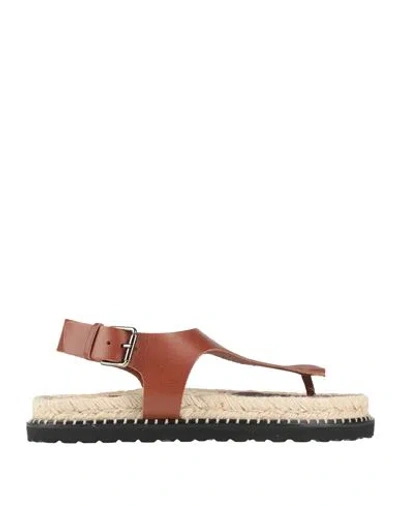 Castaã±er Castañer Woman Thong Sandal Brown Size 7.5 Leather