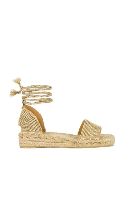 Castaã±er Silvia Espadrille In Gold