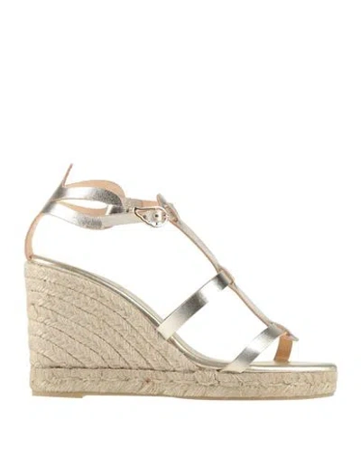 Castaã±er Castañer Ancient Greek Sandals X Castañer Woman Espadrilles Platinum Size 7.5 Leather In Grey
