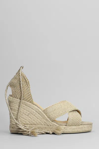 Castaã±er Castañer Becca-8-256 Wedges In Gold