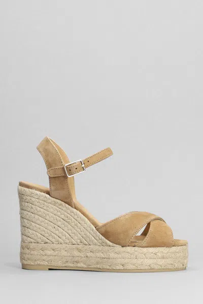 CASTAÃ±ER CASTAÑER BLAUDELL-8ED-007 WEDGES