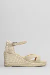 CASTAÃ±ER CASTAÑER BRUNA-6-002 WEDGES