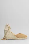 CASTAÃ±ER CARINA-8-007 WEDGES IN LEATHER COLOR SUEDE