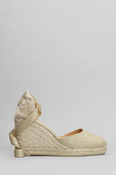 Castaã±er Castañer Carina-8-032 Wedges