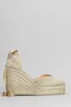 Castaã±er Chiara-8ed-032 Wedges In Gold Canvas