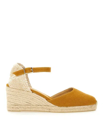 Castaã±er Castañer Espadrille Carol Pumps In Brown