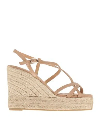 Castaã±er Castañer Woman Espadrilles Beige Size 7.5 Leather