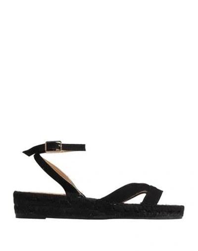 Castaã±er Castañer Woman Espadrilles Black Size 7.5 Textile Fibers
