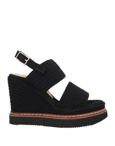 Castaã±er Castañer Woman Espadrilles Black Size 7.5 Textile Fibers