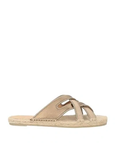 Castaã±er Castañer Woman Espadrilles Bronze Size 7.5 Leather, Textile Fibers In Yellow