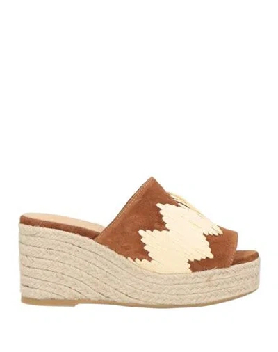Castaã±er Castañer Woman Espadrilles Brown Size 7.5 Leather