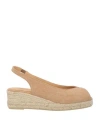 Shop Castaã±er Castañer Woman Espadrilles Camel Size 7.5 Textile Fibers In Beige