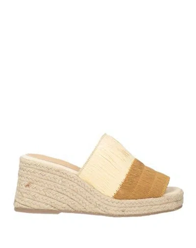 Castaã±er Castañer Woman Espadrilles Camel Size 7.5 Textile Fibers In Beige