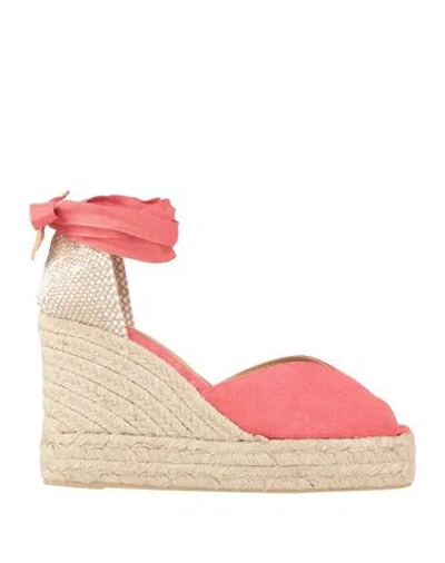 Castaã±er Castañer Woman Espadrilles Coral Size 6 Textile Fibers In Red