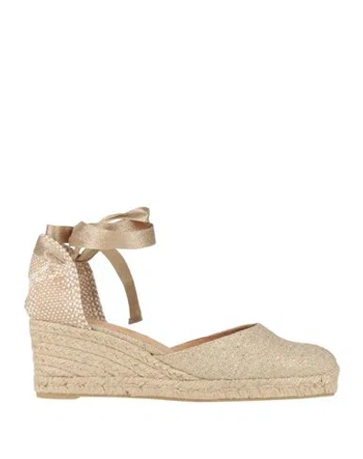 Castaã±er Castañer Woman Espadrilles Gold Size 9 Textile Fibers In Gold