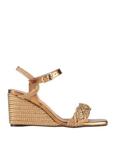 Castaã±er Castañer Woman Espadrilles Gold Size 7.5 Leather