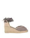 Castaã±er 60mm Carina Wedge In Grey