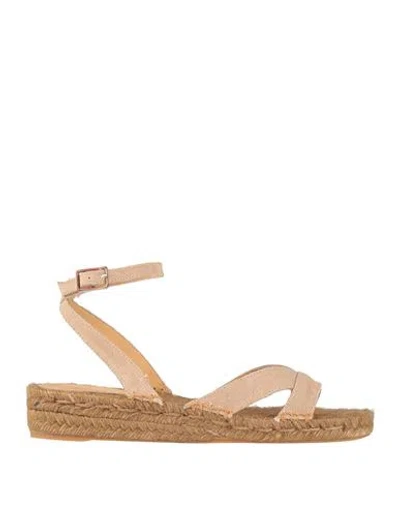 Castaã±er Castañer Woman Espadrilles Sand Size 7.5 Textile Fibers In Beige