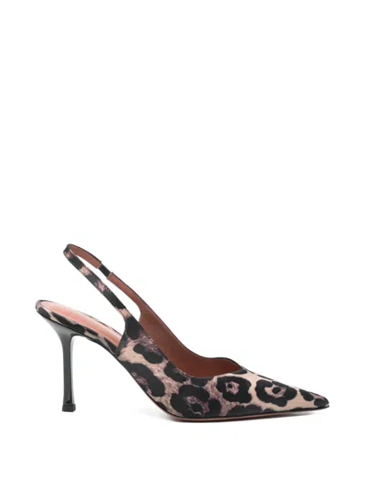 Castagna Darya Animal-print Pumps In Animal Print