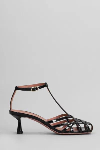 Castagna Manila Sandals In Black