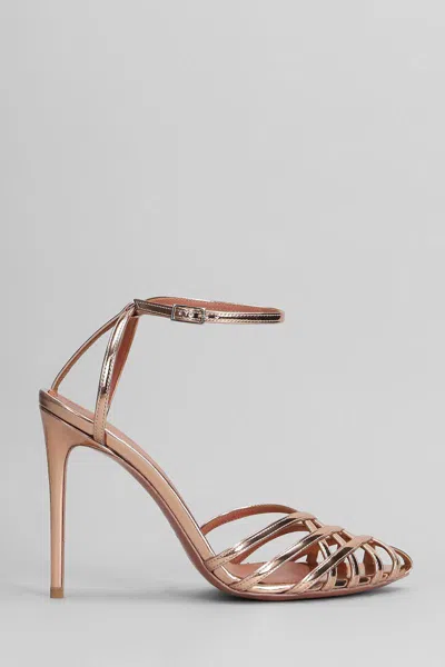 Castagna Miami Sandals In Brown