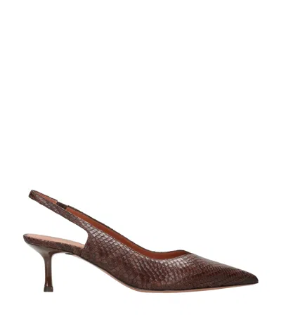 Castagna With Heel Brown In Animal Print