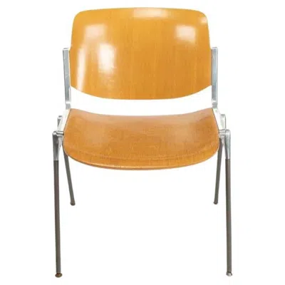 Pre-owned Castelli 1965 Giancarlo Piretti For  Dsc 106 Stacking Dining / Side Chairs In Oak In Brown