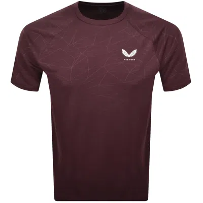 Castore Adapt T Shirt Burgundy In Brown