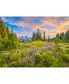 Castorland Blossoms Of Morning 2000 Piece Jigsaw Puzzle In Multicolor