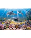 Shop Castorland Dolphins Underwater 500 Piece Jigsaw Puzzle In Multicolor