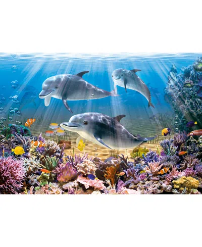 Castorland Dolphins Underwater 500 Piece Jigsaw Puzzle In Blue