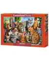 Castorland House Of Cats Jigsaw Puzzle Set, 2000 Piece In Multicolor