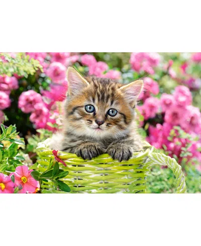 Castorland Kitten In Flower Garden 500 Piece Jigsaw Puzzle In Multi