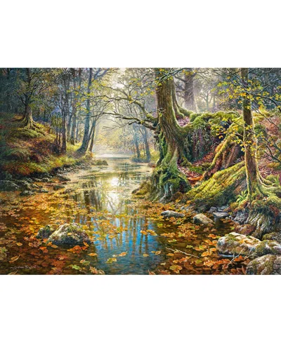Castorland Reminiscence Of The Autumn Forest 2000 Piece Jigsaw Puzzle In Green