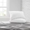 Casual Comfort Plush 2 Pack Bed Pillow In White