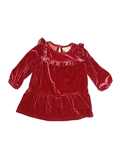 Pre-owned Cat & Jack Babies' Dress In Burgundy