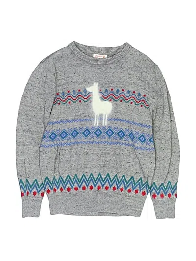 Pre-owned Cat & Jack Kids' Pullover Sweater In Silver
