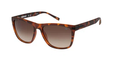 Cat Cps 8517 Polarized 102p Occhiali Da Sole Tartarugatishell Per Uomo