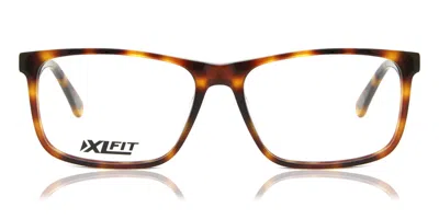 Cat Cto 3020 Men's Glasses, Tortoiseshell, Size 59 In Brown