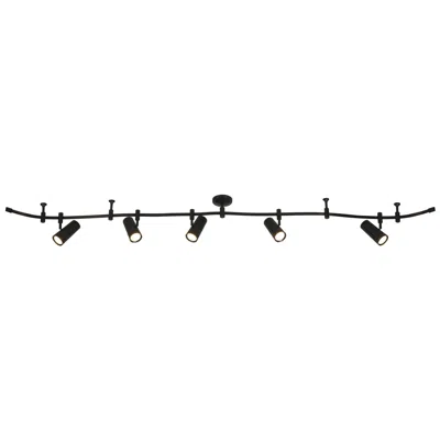 Catalina Ellipse 96" Wide 5-light Black Led Flex Track