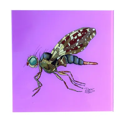 Catchii Brown / Pink / Purple Painting Brown Fly Pink Background In Brown/pink/purple