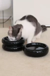Catenary Home Pet Halo Bowl
