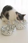 Catenary Home Pet Halo Bowl