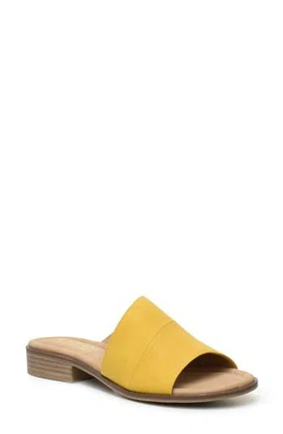 Catherine Catherine Malandrino Danielle Slide Sandal In Mustard Nubuck