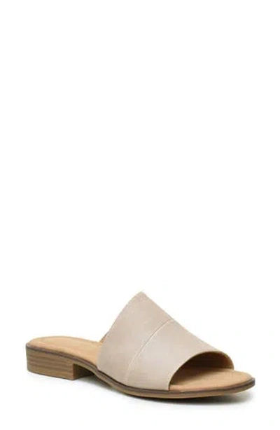 Catherine Catherine Malandrino Danielle Slide Sandal In Silver Metallic