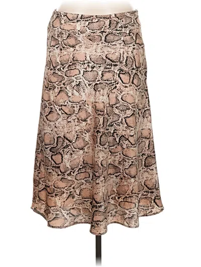 Pre-owned Catherine Malandrino Casual Skirt In Brown