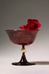 Catherine Martin Midnight Creatures Coupe Glass In Red