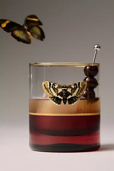 Catherine Martin Midnight Creatures Decaled Double Old Fashioned Glass