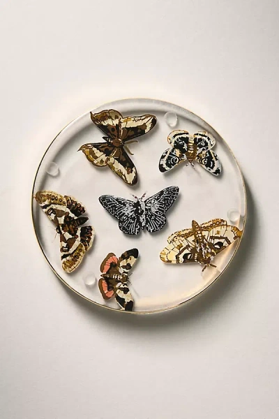 Catherine Martin Midnight Creatures Decaled Glass Coaster In White